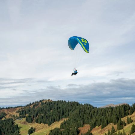 Dudek Halo