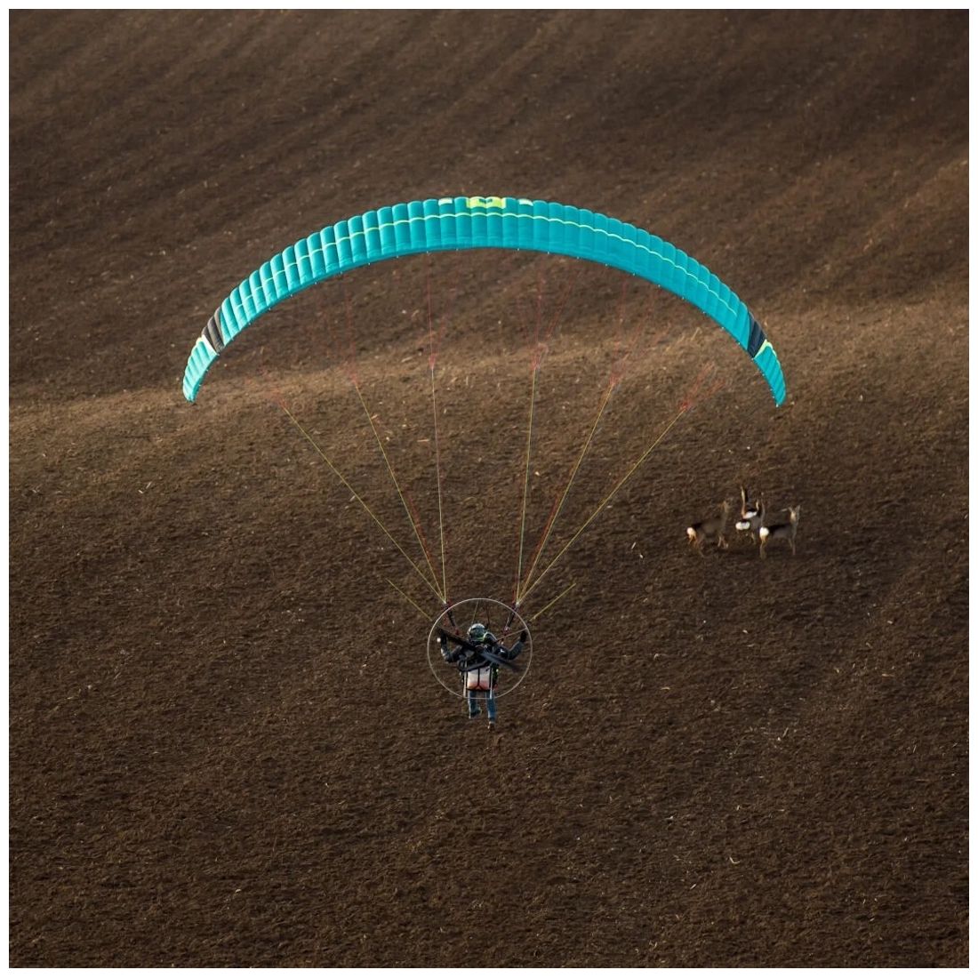 Dudek DriftAir 2
